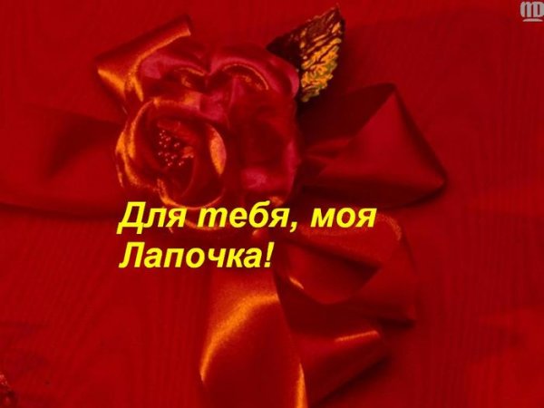 Котенок белый очень красивый
