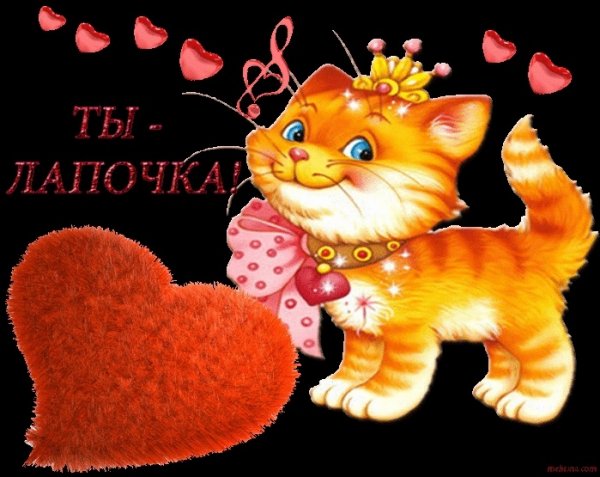 Лапочка открытки