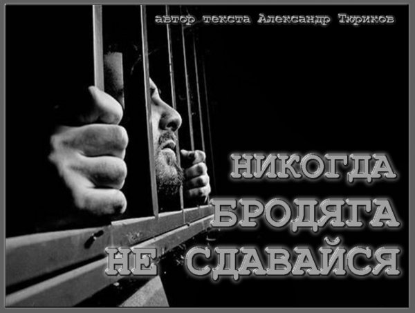 Приют душа бродяги