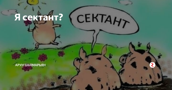 Карикатура свиньи сектанты