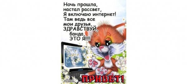 Ночь прошла настал рассвет я включаю интернет