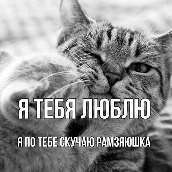 Спокойной ночи обнимаю