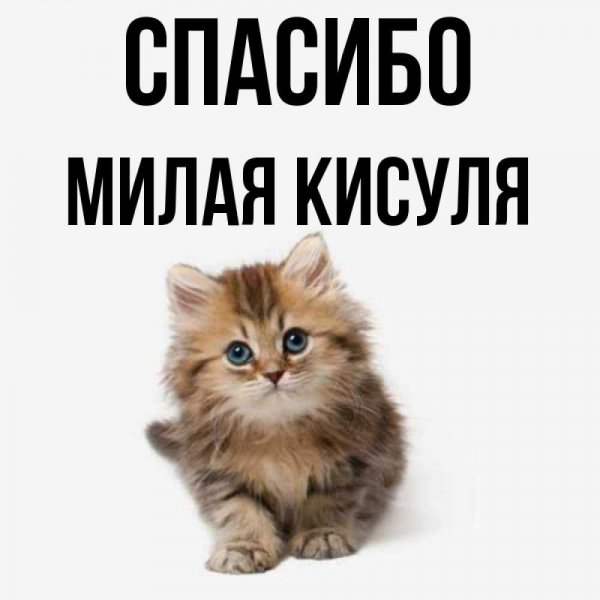 Нежные весенние цветы