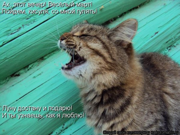 Доброе утро Пидрила