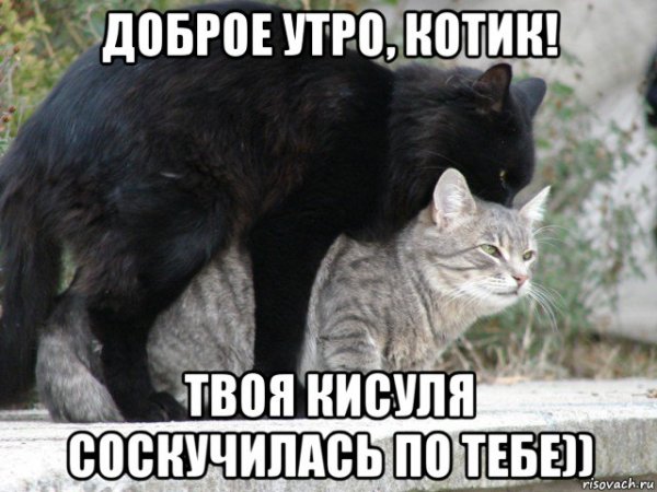 Доброе утро любимая Наташа