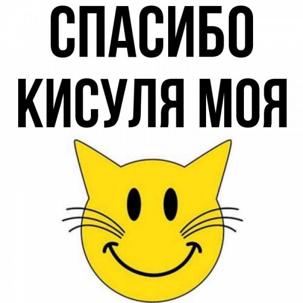 Милый котенок