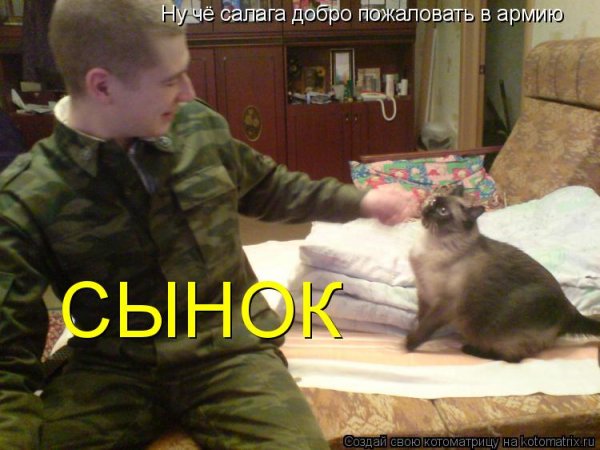 Добро пожаловать в армию