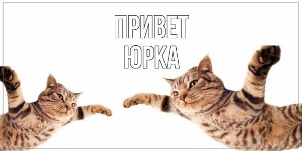 Доброе утро Юрочка
