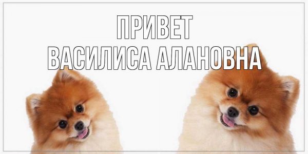 Привет Матвей картинки
