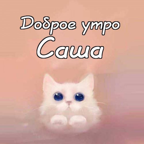 Картинка здрасте я Василиса