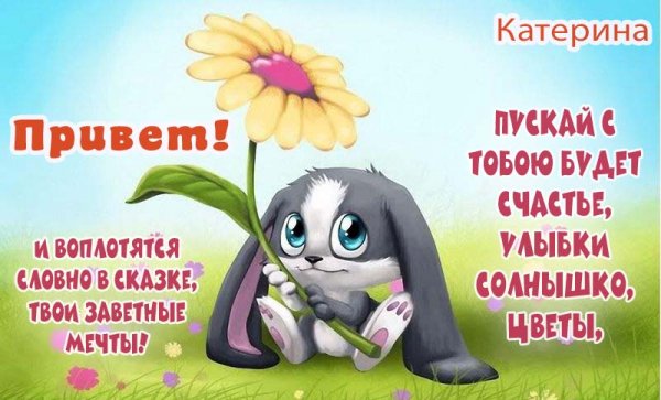 Привет Катя