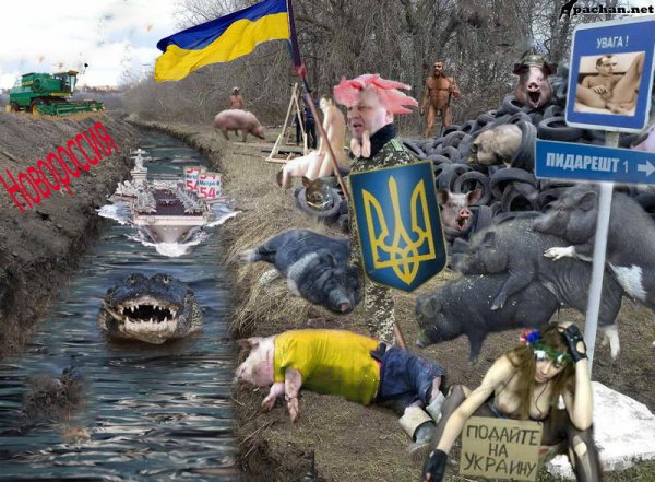 Хрюшка с флагом Украины