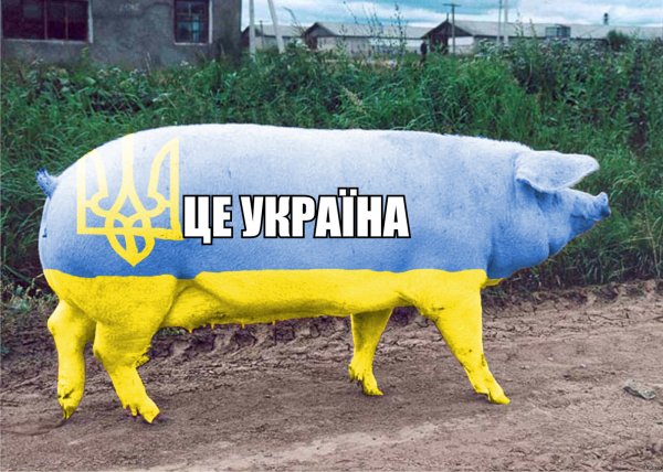 А вы госдолг США видели