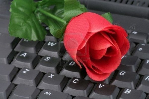 Роза на клавиатуре