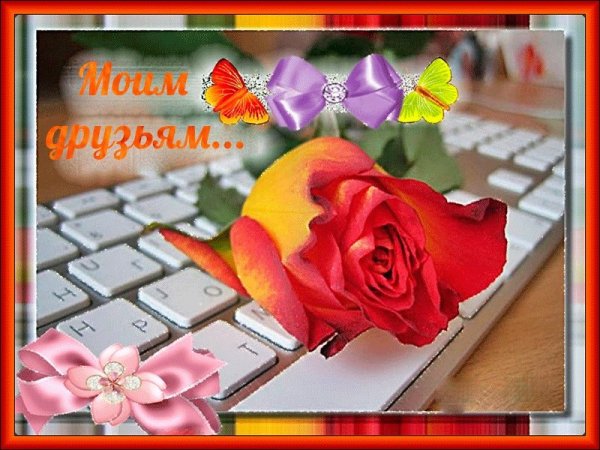 Тролль демотиватор