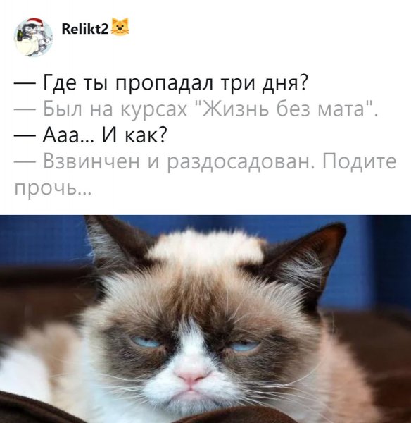 Ты где пропал