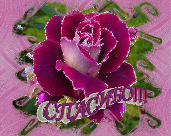 Огромное спасибо, Людочка!