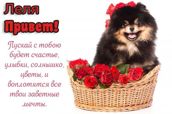 Фото привет Лена