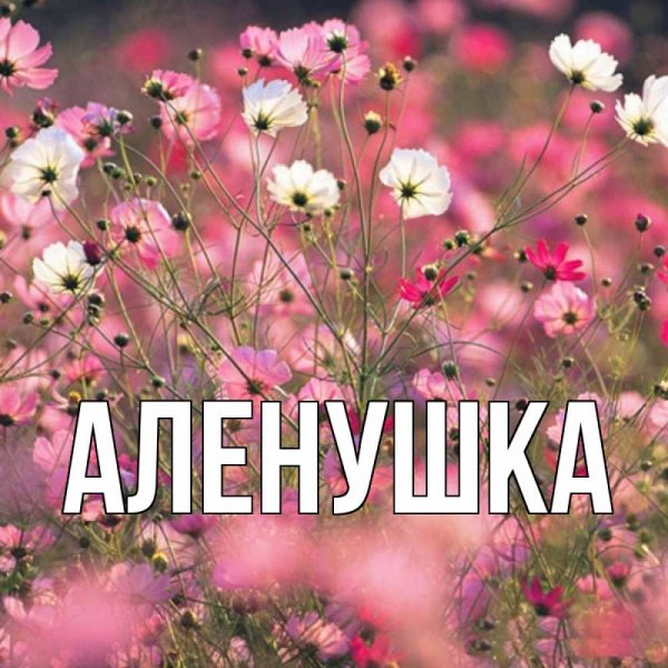 Открытки Аленке красивые