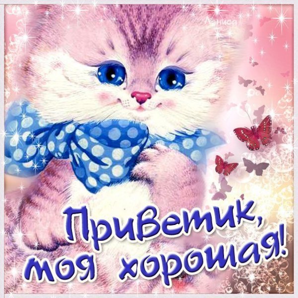 Открытка привет моя хорошая