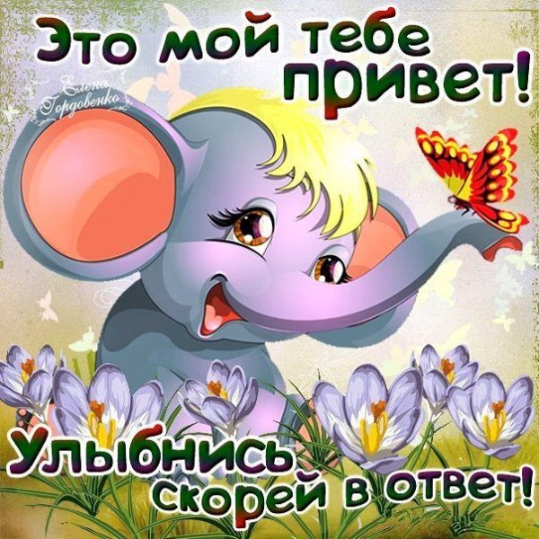 Саша я тебя люблю