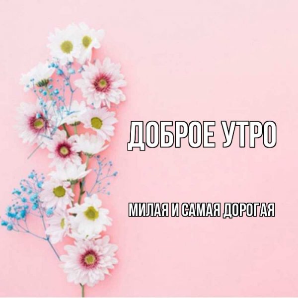 Открытки доброе утро Коля