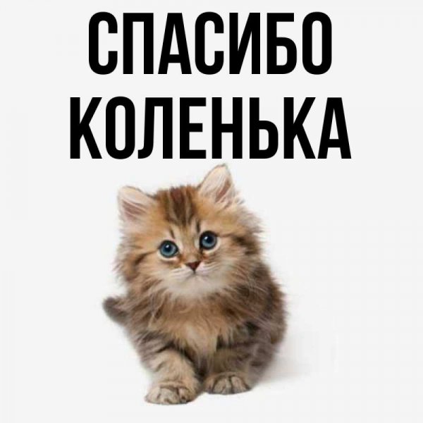 Просто приветик