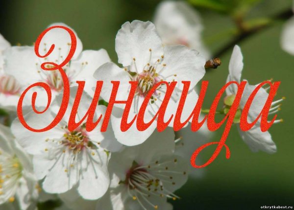 Именины Зинаиды