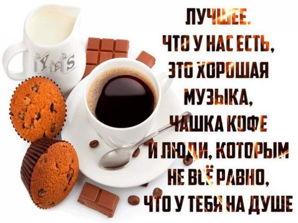 Смешные утренние приветствия
