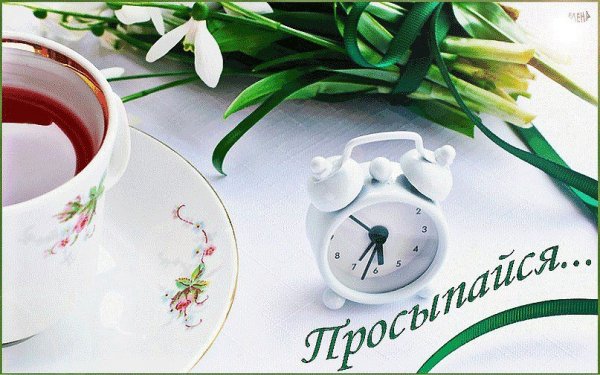 Необычные открытки с добрым весенним утром
