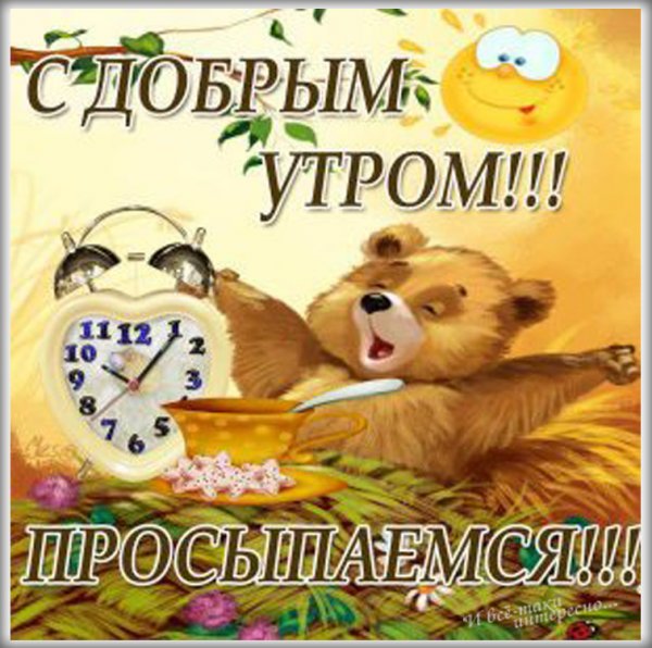 Пожелания доброго утра прикольные