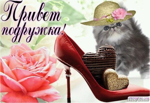 Здравствуй подруга