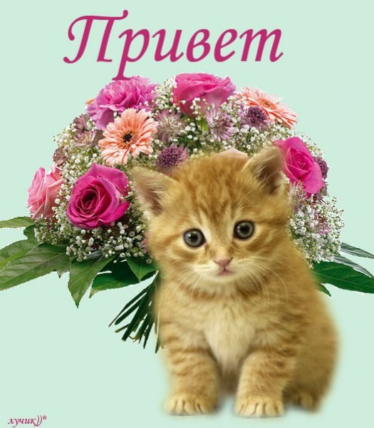 Открытка воздушный поцелуй