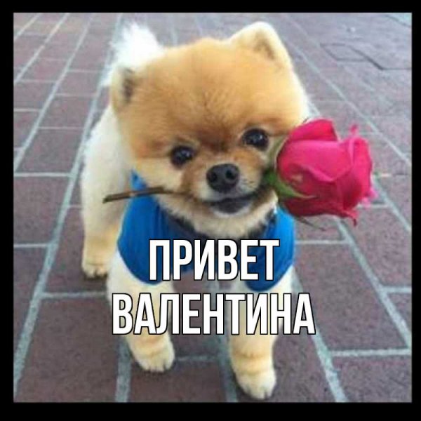 Бабуля я тебя люблю