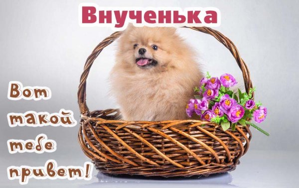 Открытки привет