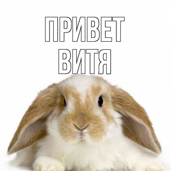 Бухать после работы