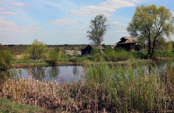 Доброе утро в деревне летом с надписями