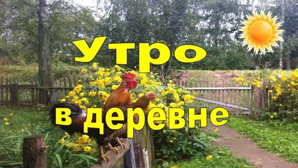 Деревенский пейзаж художник Дмитрий Левин