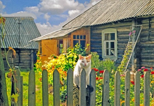Солнце в деревне