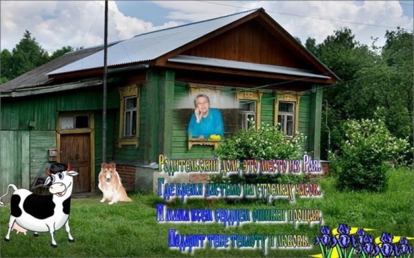 Деревенская природа