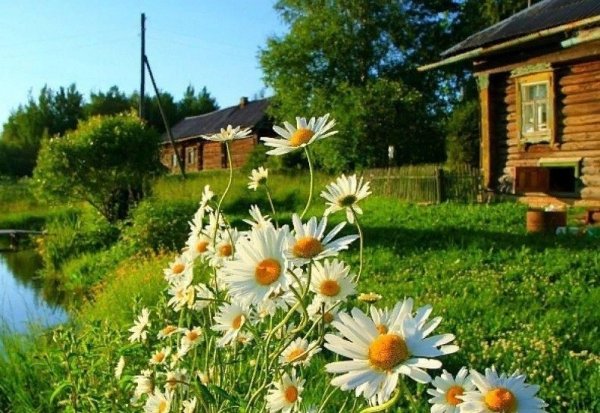 Привет деревня картинки