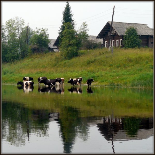 Деревенский домик детства