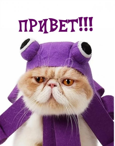 Здрасте вам