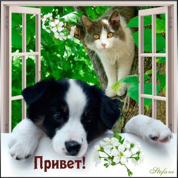 Приветик детям