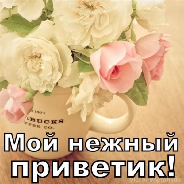 Нежный приветик от меня