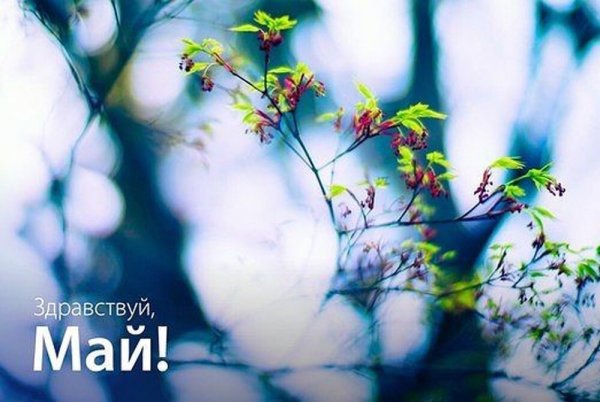 Май надпись