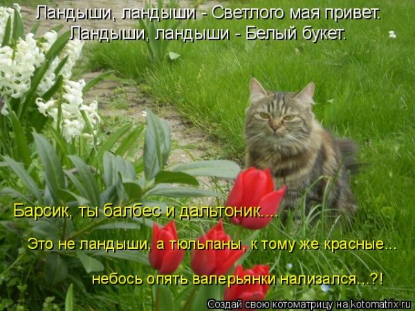 Ну Здравствуй май