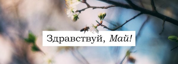 Картина с надписью май