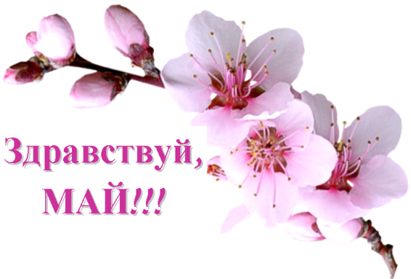 Картинка на аву май