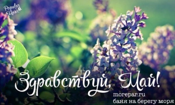 Майский приветик